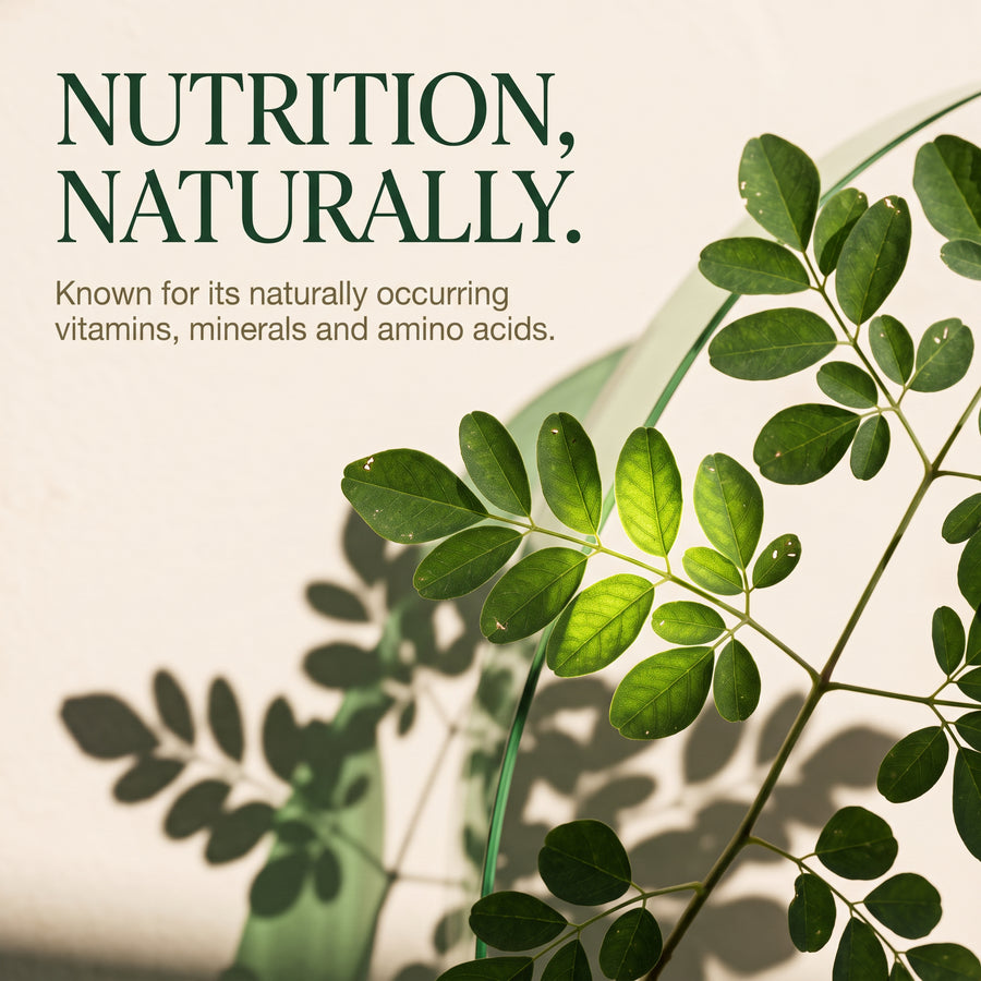Moringa Capsules 120 Tablets