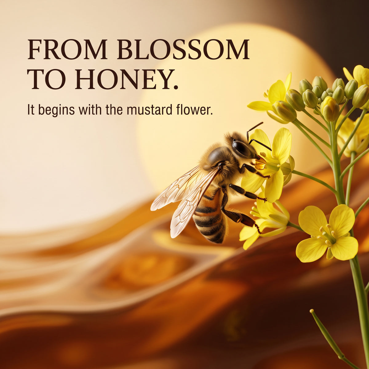 Pure Raw Mustard Honey 300g