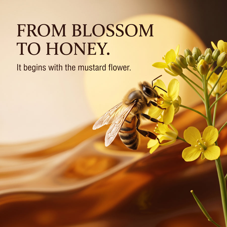 Pure Raw Mustard Honey 300g