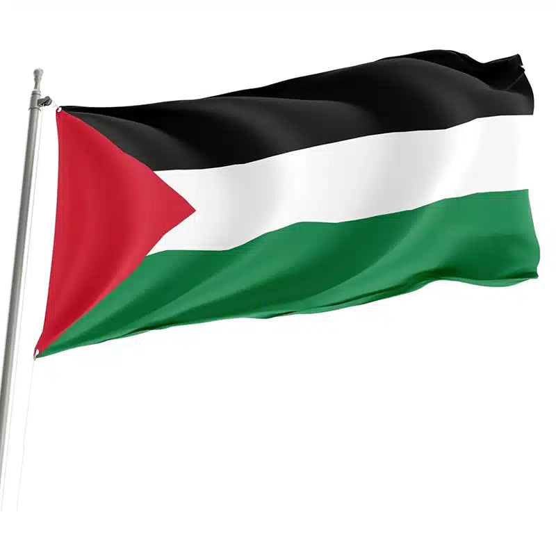 Palestine Flag Large