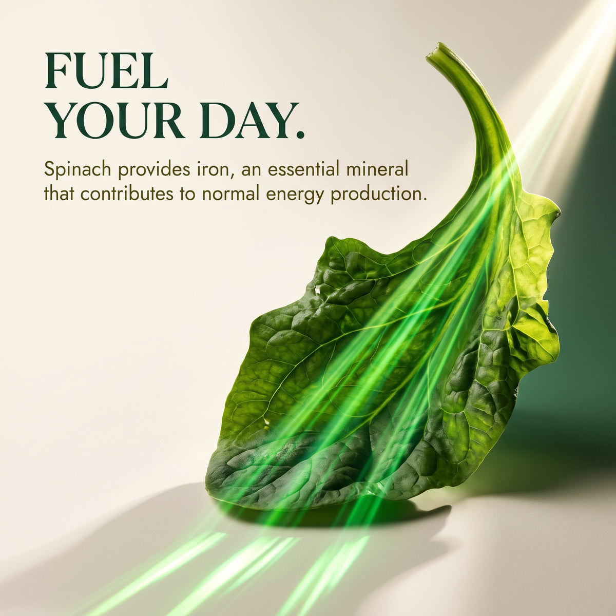 Spinach Blackseed Oil 60 Capsules