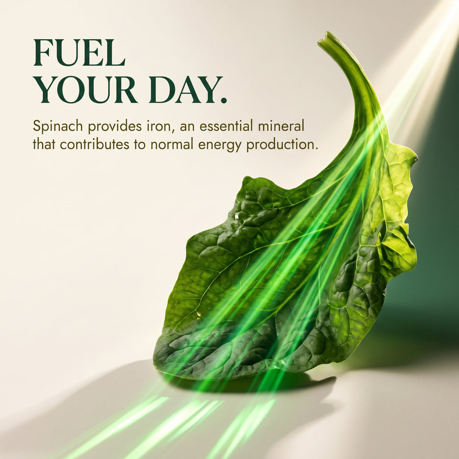 Spinach Blackseed Oil 60 Capsules