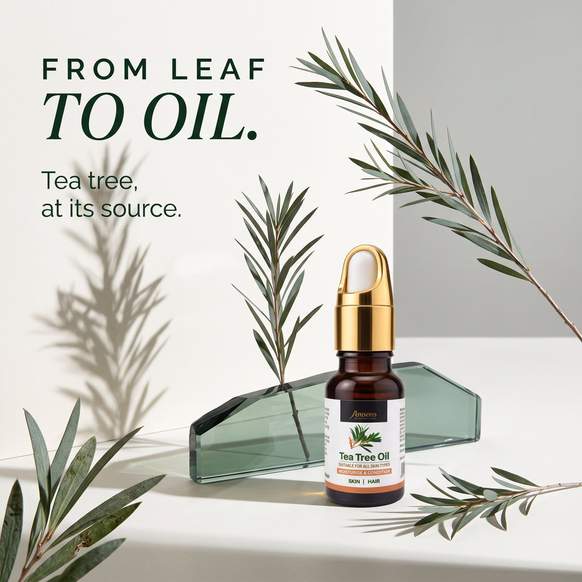 Tea Tree Hair/Skin Oil