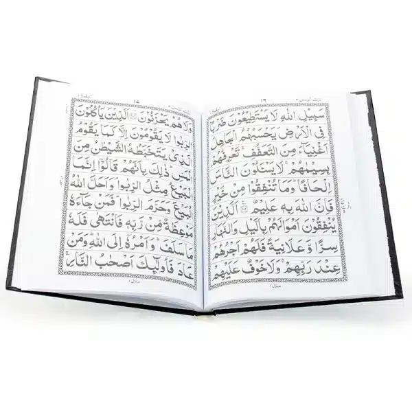 features 9 lines Five Para 21-25 Quran