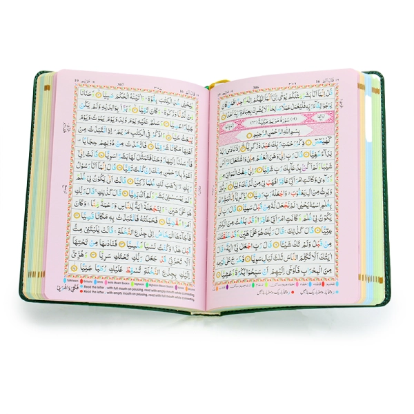 Colour Coded Tajweed Rules Quran