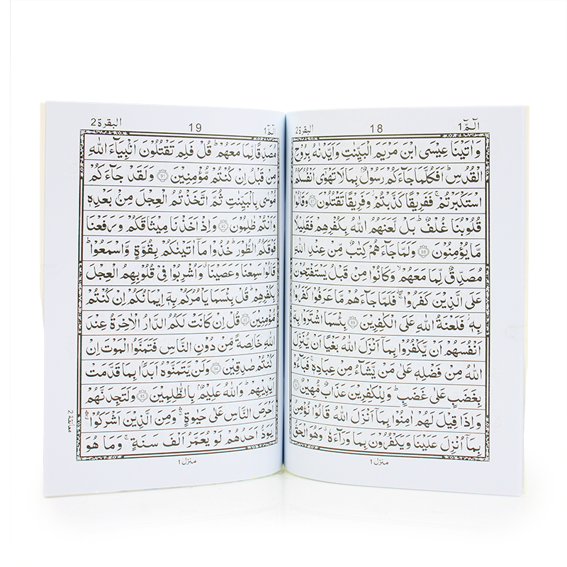 Indo-Pak script Single Juzz Quran Set