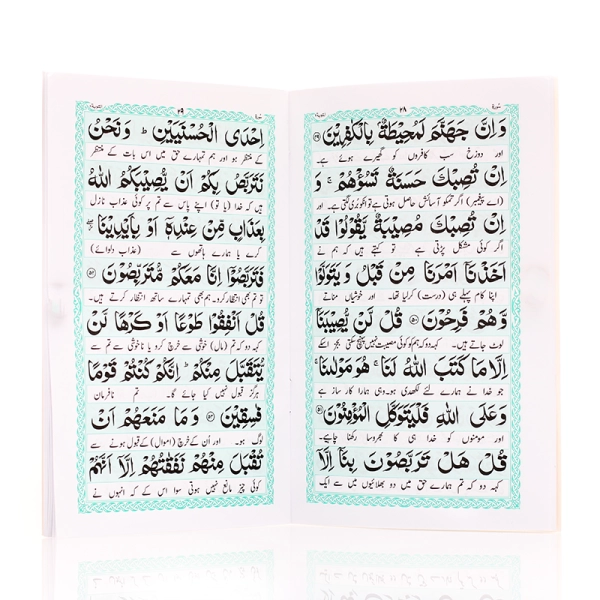 Surah Taubha With Urdu Translation