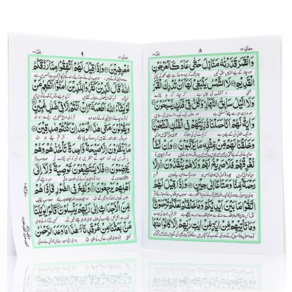 Surah Yaseen With Urdu Translation 9 line