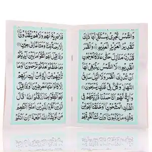 9 line Large Surah Yaseen