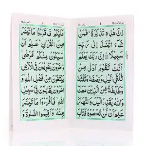 Surah Muzamil 8 line