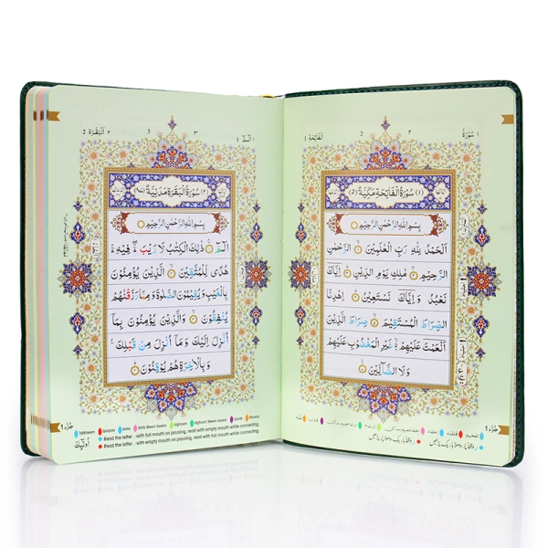 Colour Coded Tajweed Rules Holy Quran