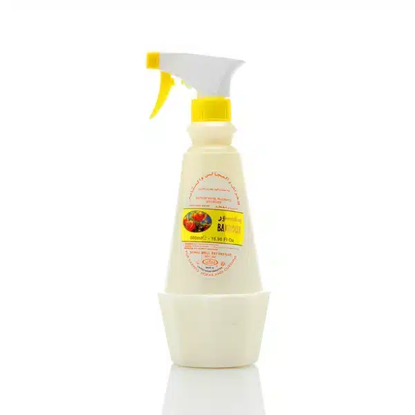 Order Orange Bakhoor Room Freshener