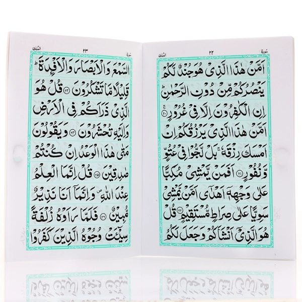 Surah Yaseen With 9 lines