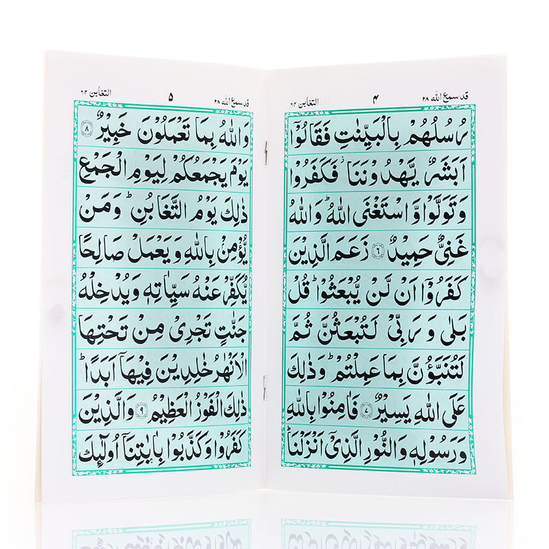 Surah Taghabun 9 lines per page