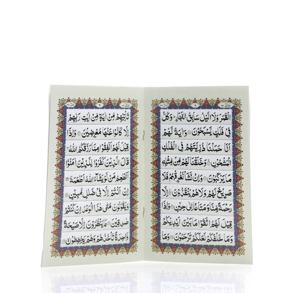 Surah Yaseen book