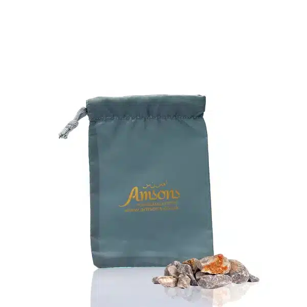 Amsons Grey Sachet Small Bag