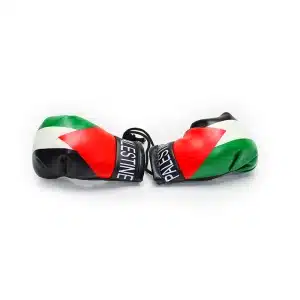 Palestine Flag Boxing Glove Car Hanger